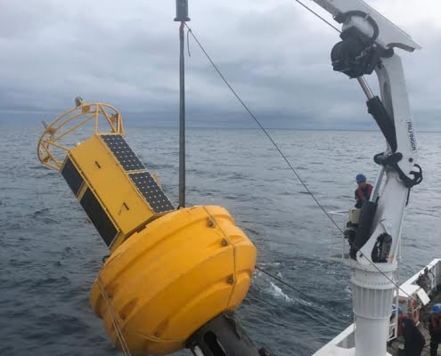 62556477_2343690795873316_2167544800289488896_n Mobilis-bouee-acquisition-donnees-DB8000-colombie