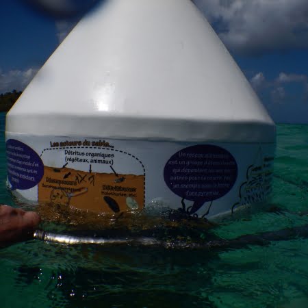 Mobilis-plaisance-loisirs-sentier-sous-marin-martinique