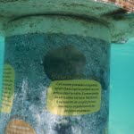 Mobilis-sentier-sous-marin