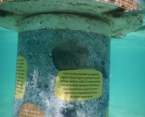 Mobilis-sentier-sous-marin