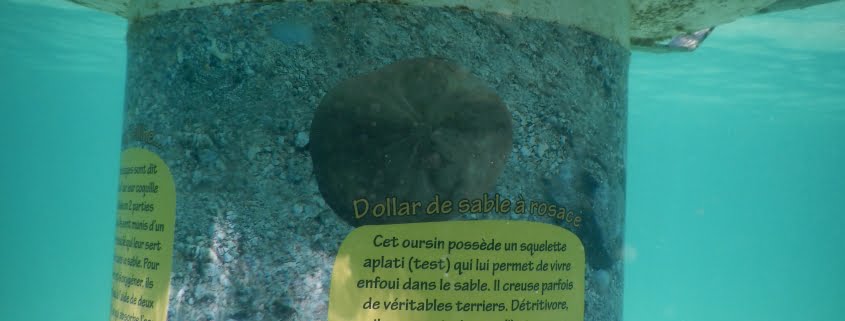 Mobilis-sentier-sous-marin