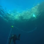 Mobilis-bouee-de-repos-sub-surface