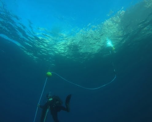 Mobilis-bouee-de-repos-sub-surface